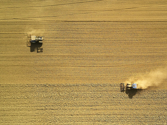 Dangers of Glyphosate in Food: What You Need to Know to Protect Your Health