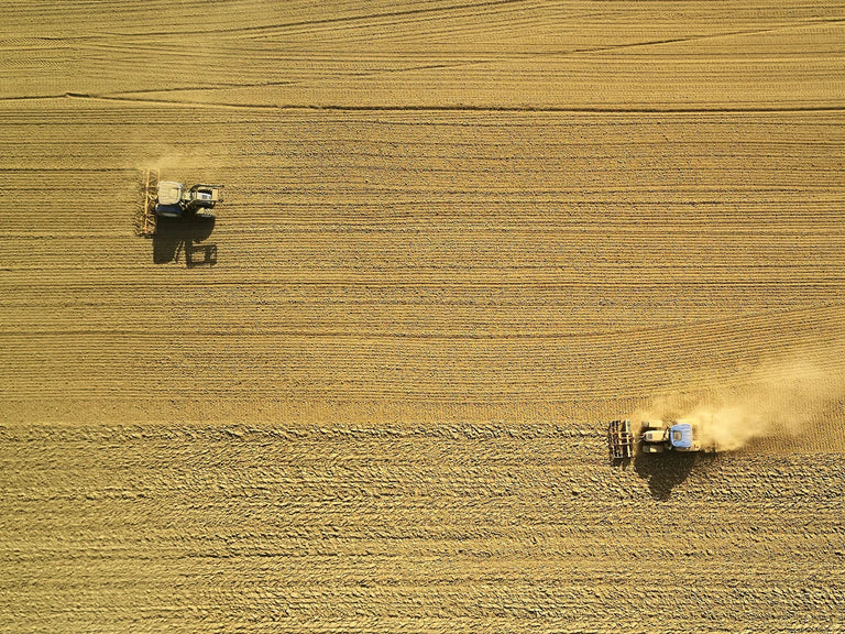 Dangers of Glyphosate in Food: What You Need to Know to Protect Your Health