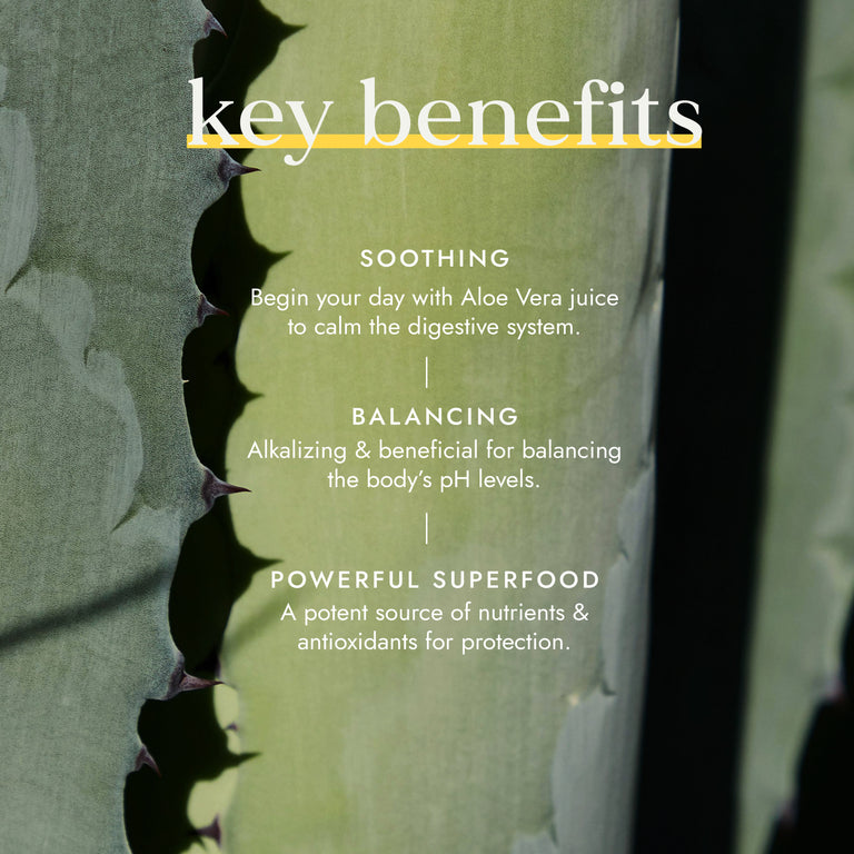Fushi Organic Aloe Vera Juice