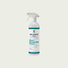 Delphis Eco Glass & Stainless Steel Cleaner