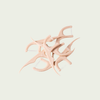 The Humble Co Mint Dental Floss Picks (double threaded)